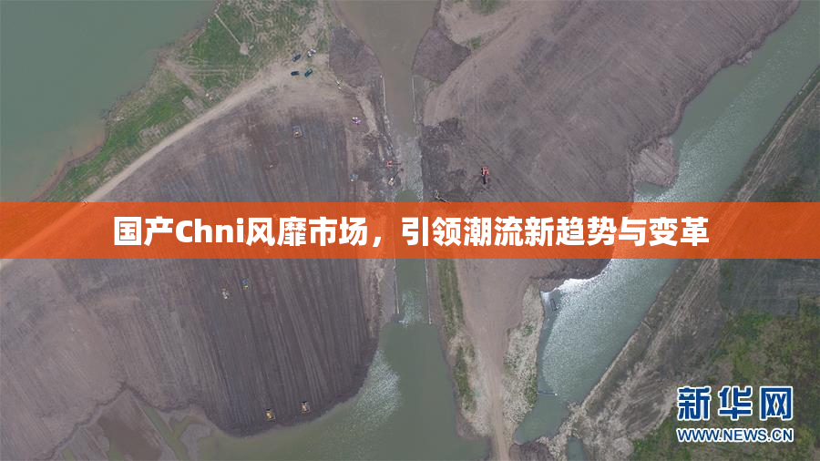 国产Chni风靡市场，引领潮流新趋势与变革