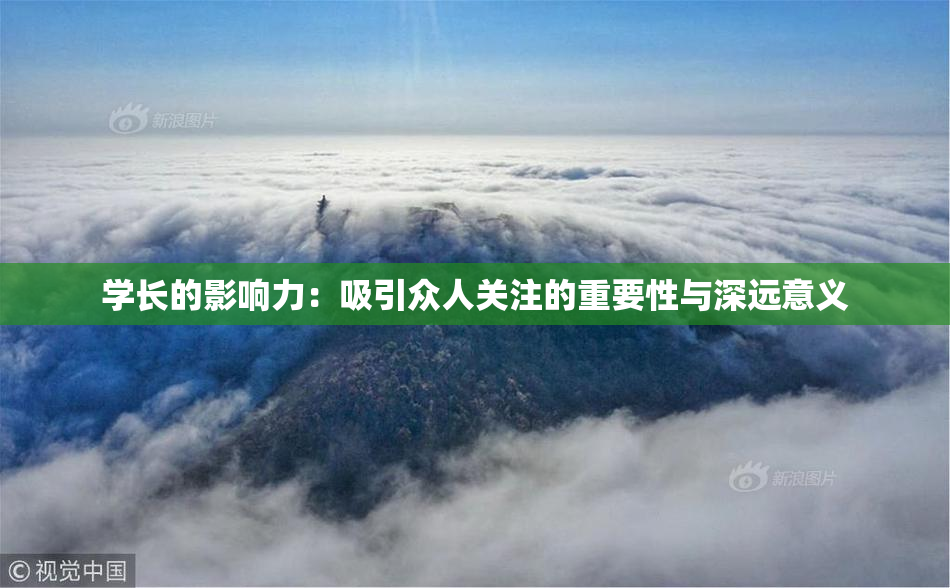 学长的影响力：吸引众人关注的重要性与深远意义