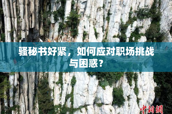 骚秘书好紧，如何应对职场挑战与困惑？