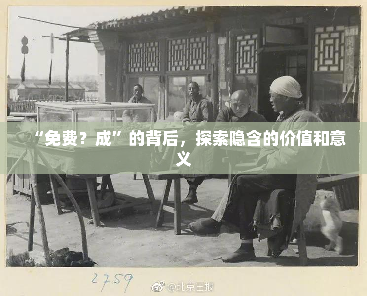 “免费？成”的背后，探索隐含的价值和意义