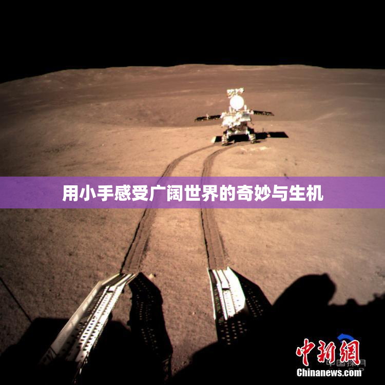 用小手感受广阔世界的奇妙与生机