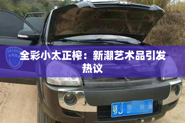 全彩小太正榨：新潮艺术品引发热议