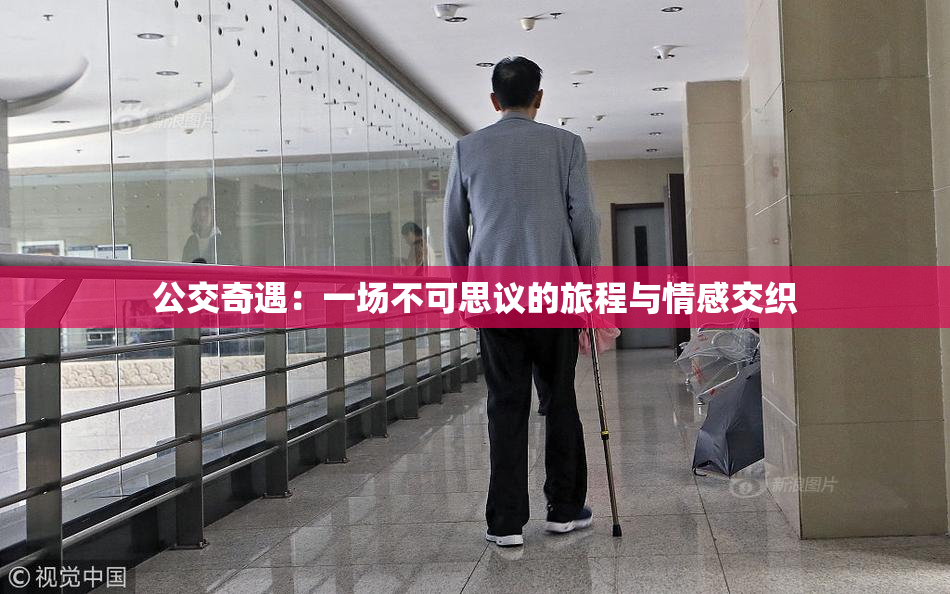 公交奇遇：一场不可思议的旅程与情感交织