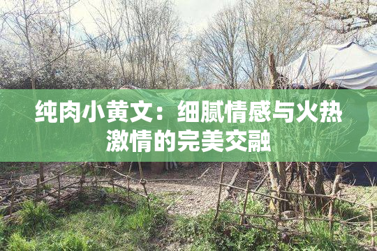 纯肉小黄文：细腻情感与火热激情的完美交融