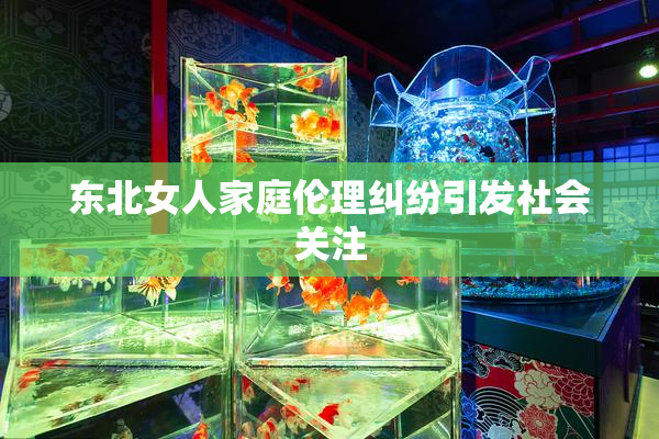 东北女人家庭伦理纠纷引发社会关注