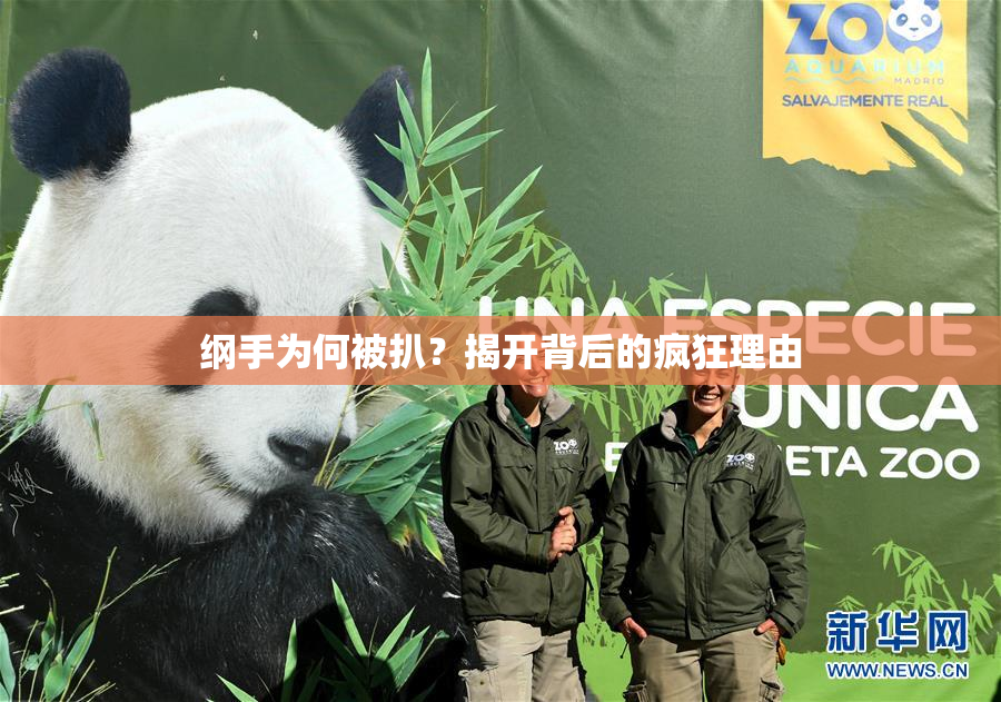 纲手为何被扒？揭开背后的疯狂理由