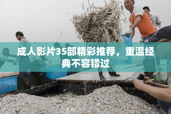 成人影片35部精彩推荐，重温经典不容错过