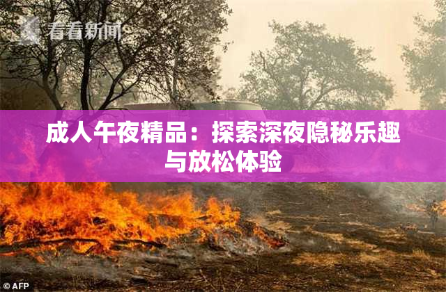 成人午夜精品：探索深夜隐秘乐趣与放松体验