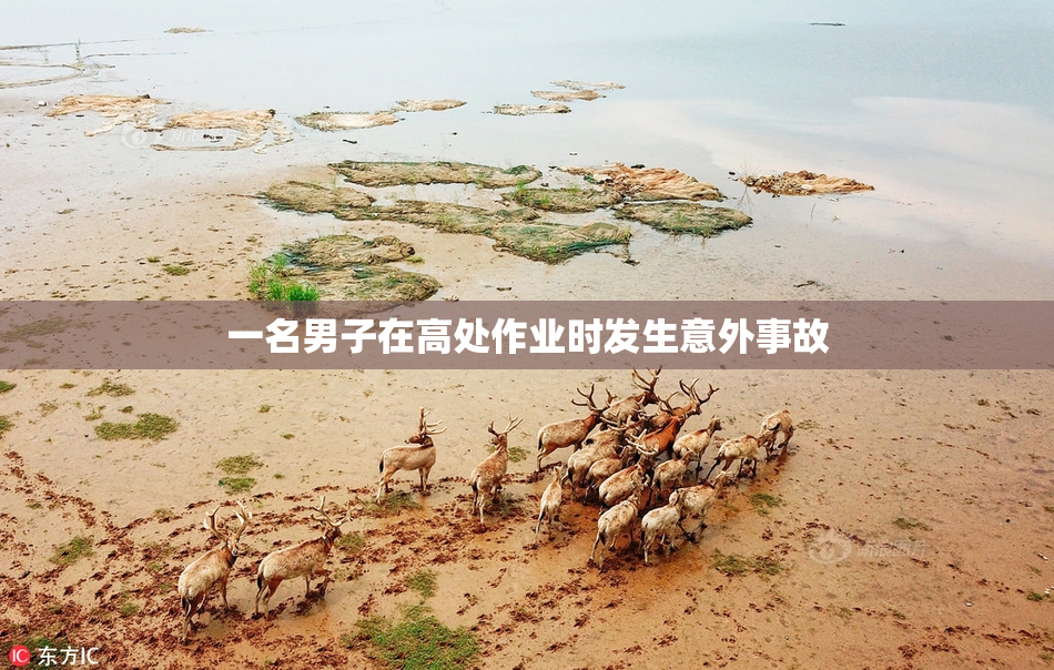一名男子在高处作业时发生意外事故