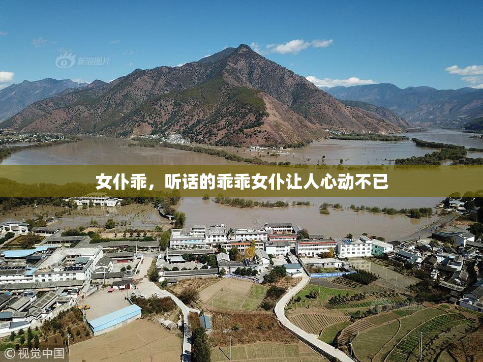 女仆乖，听话的乖乖女仆让人心动不已