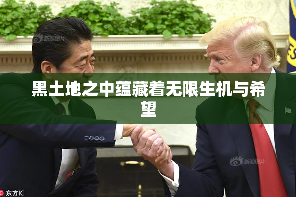 黑土地之中蕴藏着无限生机与希望