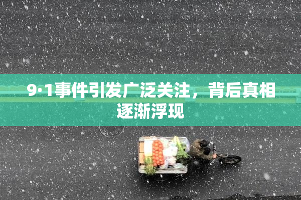 9·1事件引发广泛关注，背后真相逐渐浮现