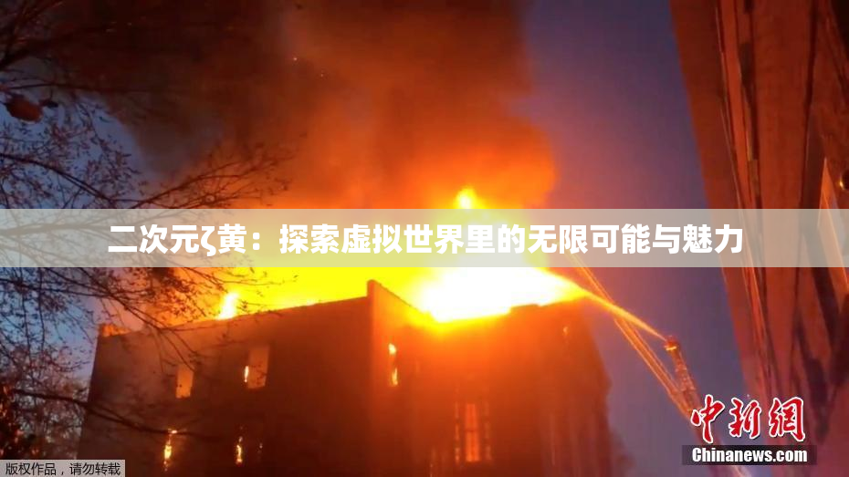 二次元ζ黄：探索虚拟世界里的无限可能与魅力