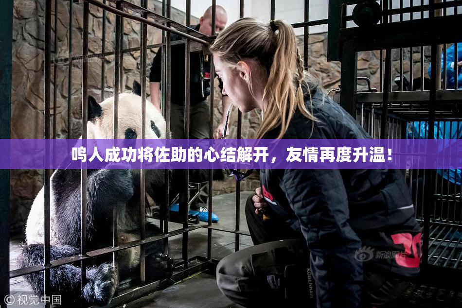 鸣人成功将佐助的心结解开，友情再度升温！