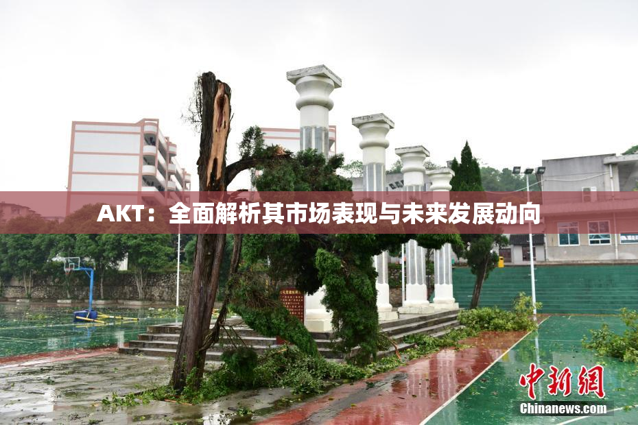AKT：全面解析其市场表现与未来发展动向