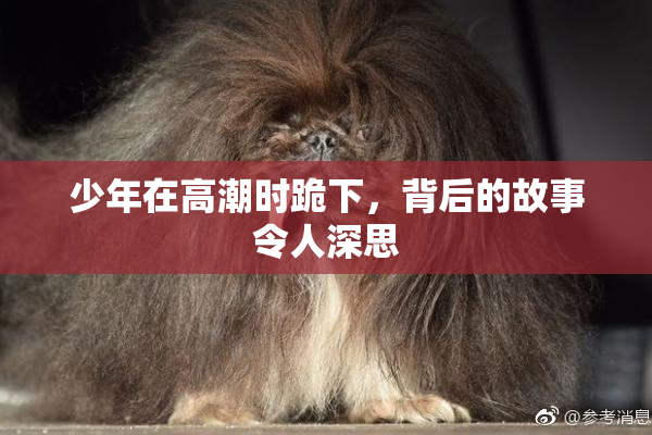 少年在高潮时跪下，背后的故事令人深思