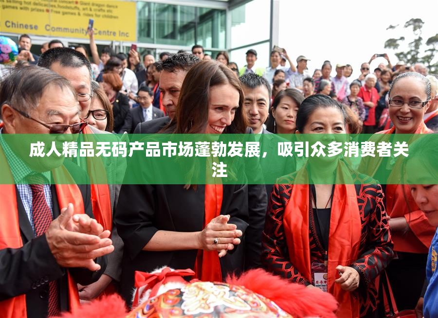 成人精品无码产品市场蓬勃发展，吸引众多消费者关注