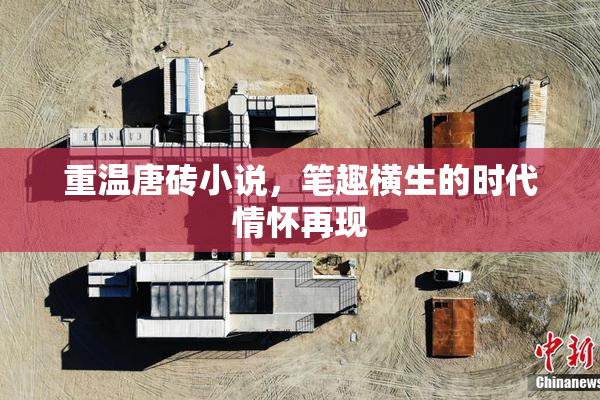 重温唐砖小说，笔趣横生的时代情怀再现