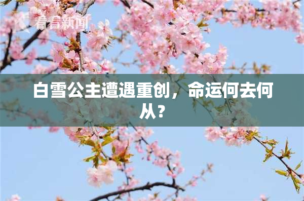 白雪公主遭遇重创，命运何去何从？