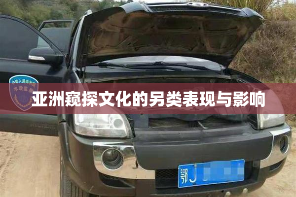 亚洲窥探文化的另类表现与影响