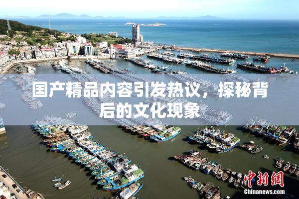 国产精品内容引发热议，探秘背后的文化现象