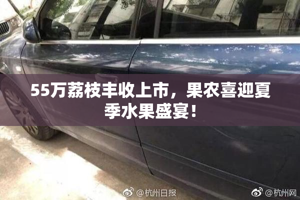 55万荔枝丰收上市，果农喜迎夏季水果盛宴！