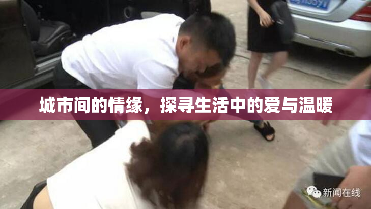 城市间的情缘，探寻生活中的爱与温暖