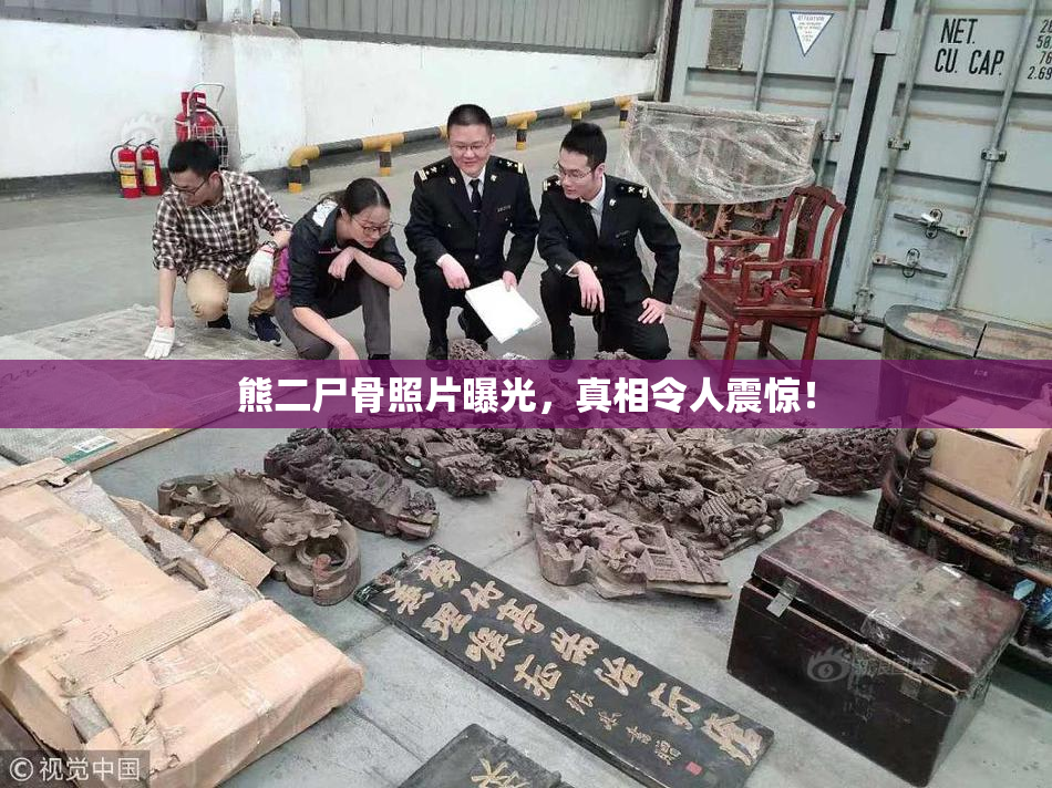 熊二尸骨照片曝光，真相令人震惊！