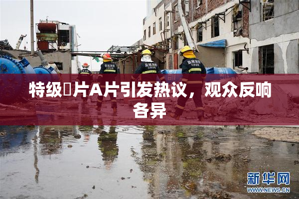 特级婬片A片引发热议，观众反响各异