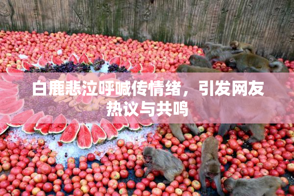 白鹿悲泣呼喊传情绪，引发网友热议与共鸣
