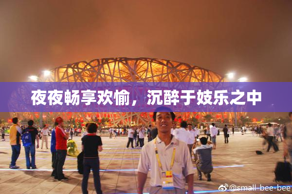 夜夜畅享欢愉，沉醉于妓乐之中