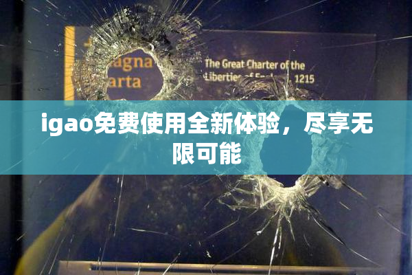 igao免费使用全新体验，尽享无限可能
