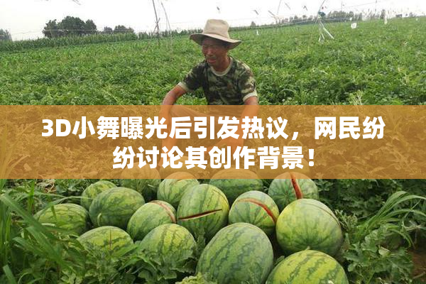 3D小舞曝光后引发热议，网民纷纷讨论其创作背景！