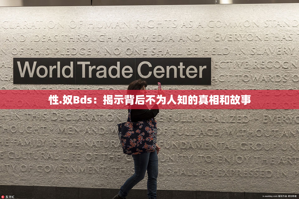 性.奴Bds：揭示背后不为人知的真相和故事