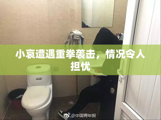 小哀遭遇重拳袭击，情况令人担忧