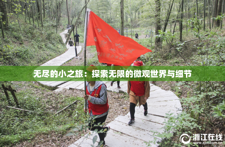 无尽的小之旅：探索无限的微观世界与细节