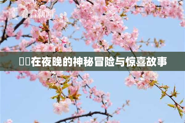 妺妺在夜晚的神秘冒险与惊喜故事