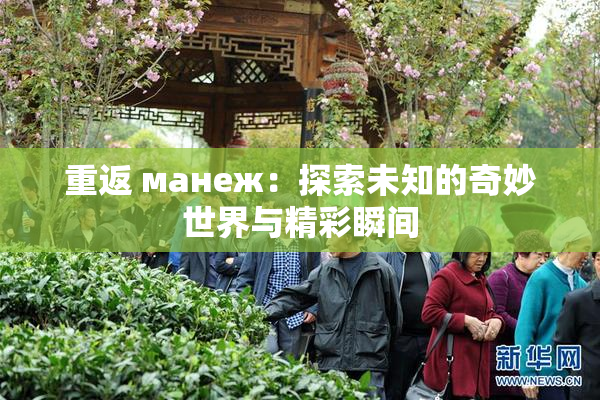 重返 манеж：探索未知的奇妙世界与精彩瞬间