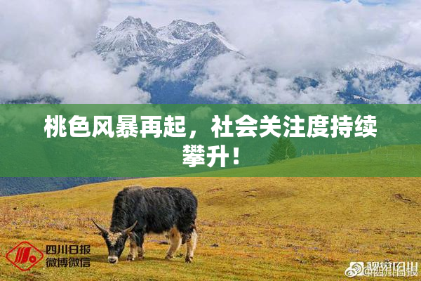 桃色风暴再起，社会关注度持续攀升！