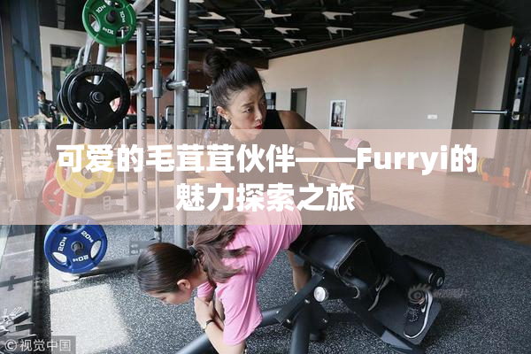 可爱的毛茸茸伙伴——Furryi的魅力探索之旅