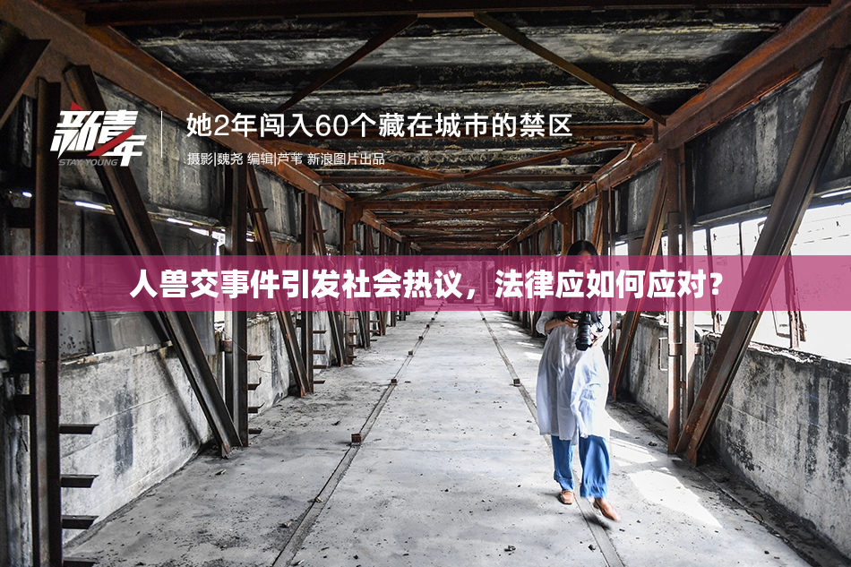 人兽交事件引发社会热议，法律应如何应对？