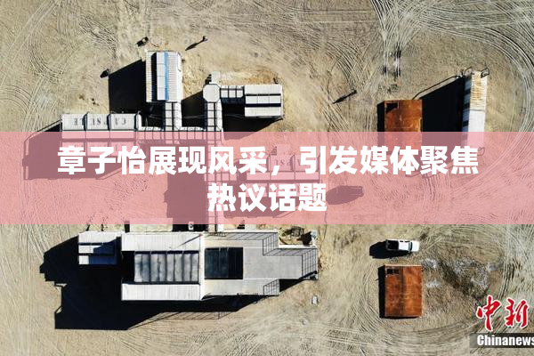 章子怡展现风采，引发媒体聚焦热议话题
