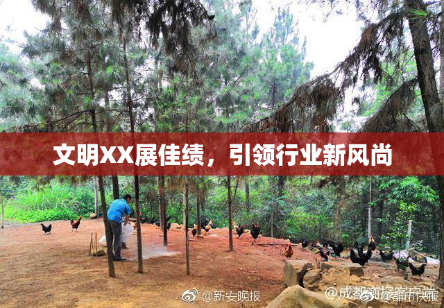 文明XX展佳绩，引领行业新风尚