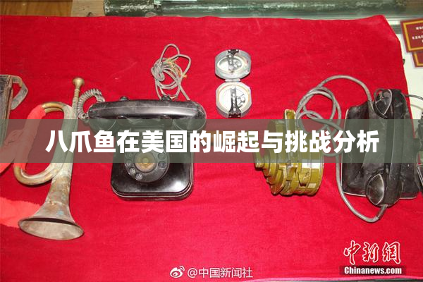 八爪鱼在美国的崛起与挑战分析