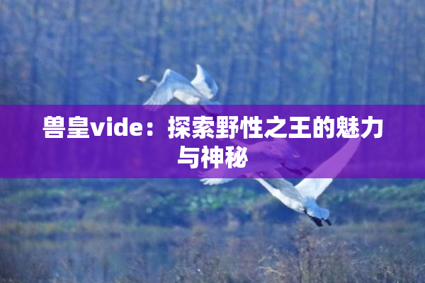兽皇vide：探索野性之王的魅力与神秘