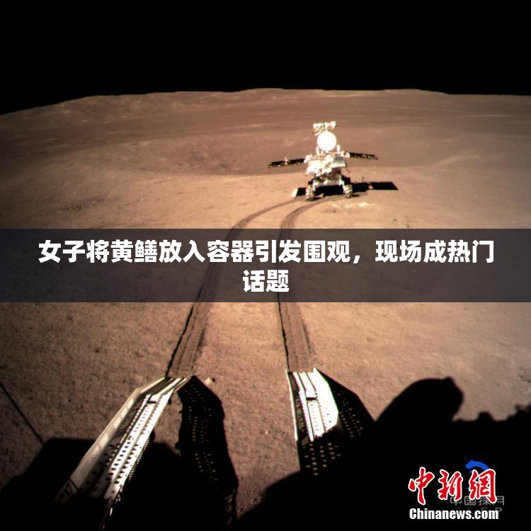 女子将黄鳝放入容器引发围观，现场成热门话题