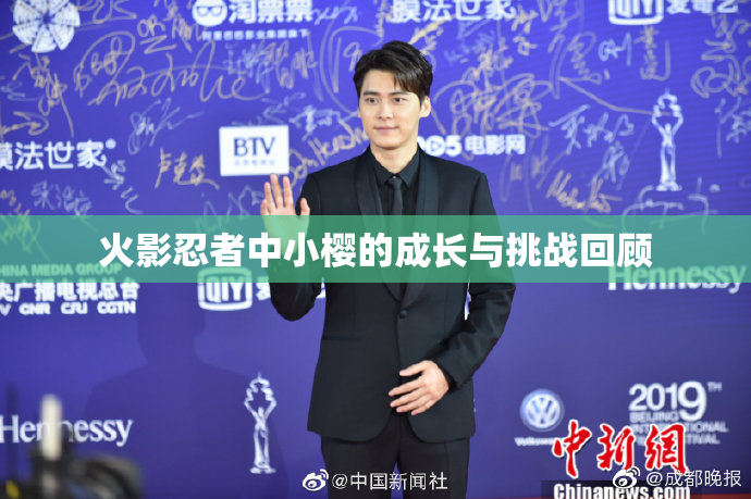 火影忍者中小樱的成长与挑战回顾