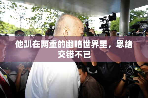 他趴在两重的幽暗世界里，思绪交错不已