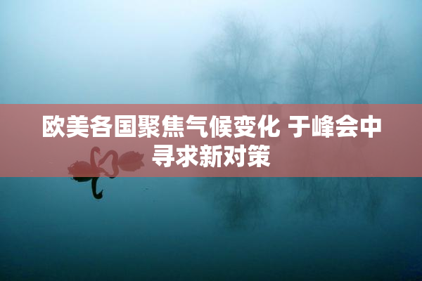 欧美各国聚焦气候变化 于峰会中寻求新对策