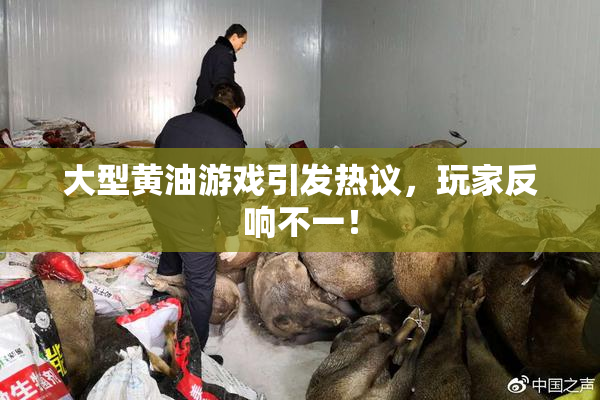 大型黄油游戏引发热议，玩家反响不一！